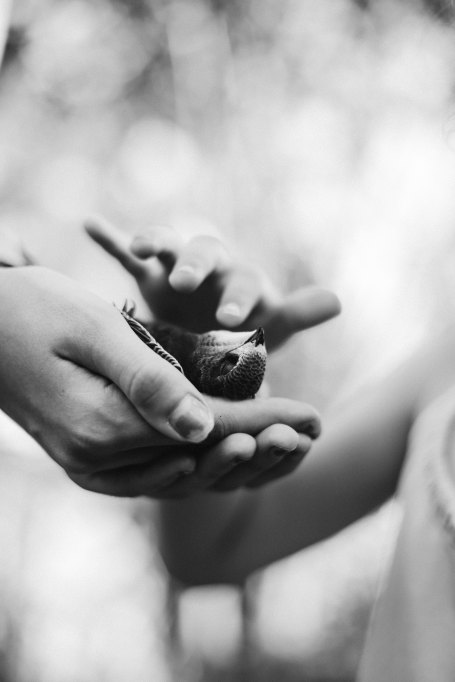 nine-kopfer-313606-unsplash