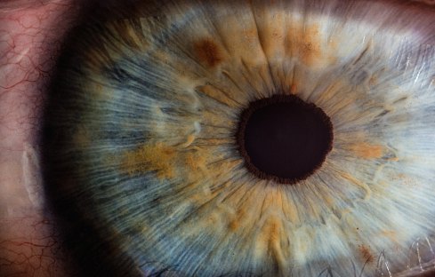 paul-morris-184484-unsplash
