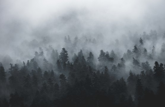 markos-mant-580527-unsplash